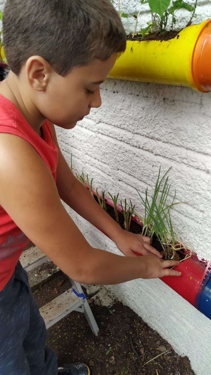 Fisk Nova Londrina/PR - "Horta Sustentável"